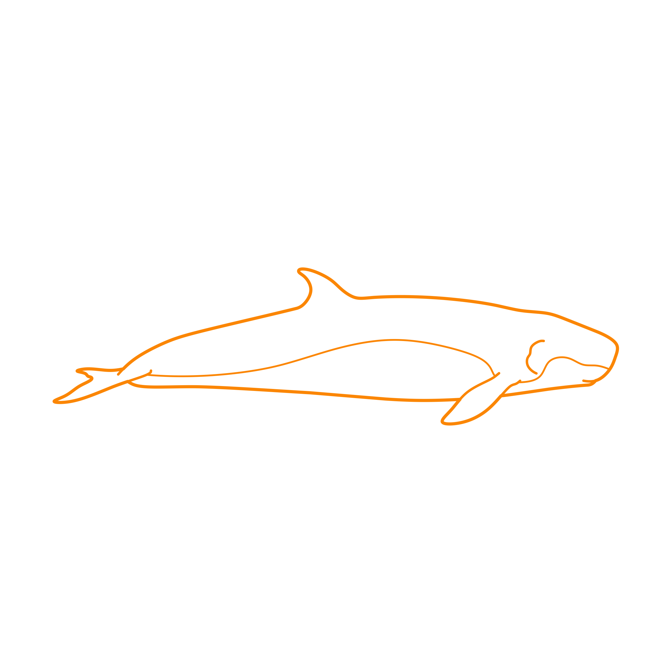 Animals Toothed Whales Pygmy Sperm Whale Svg Line Art Free Vectors